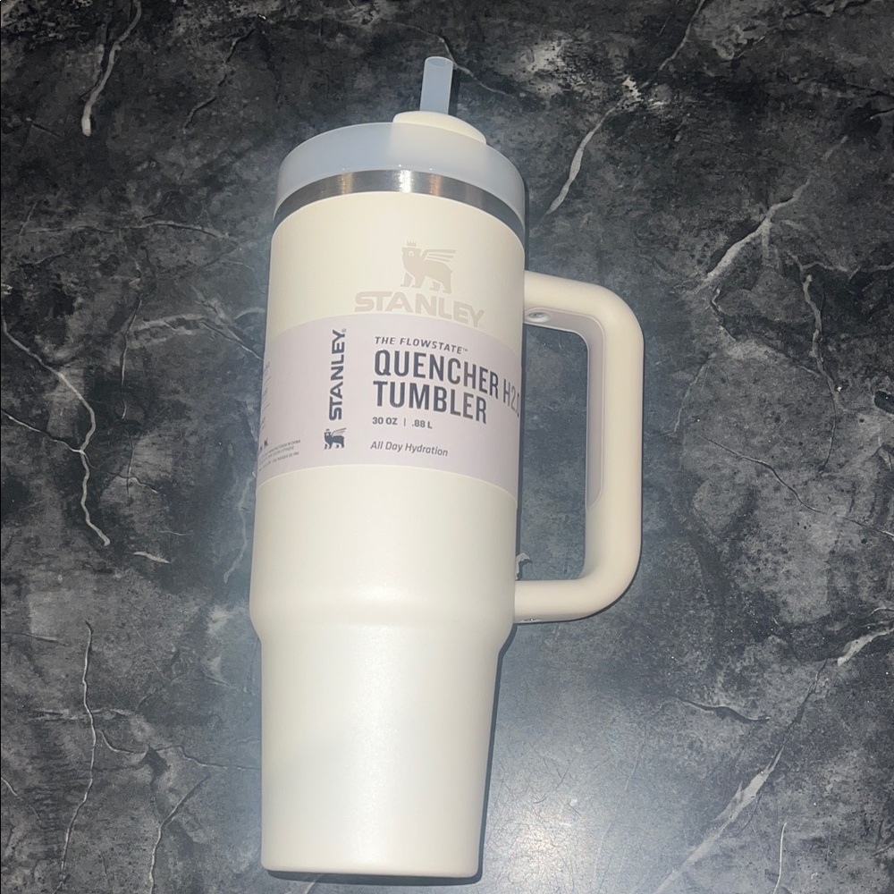 Stanley Quencher Tumbler - White
